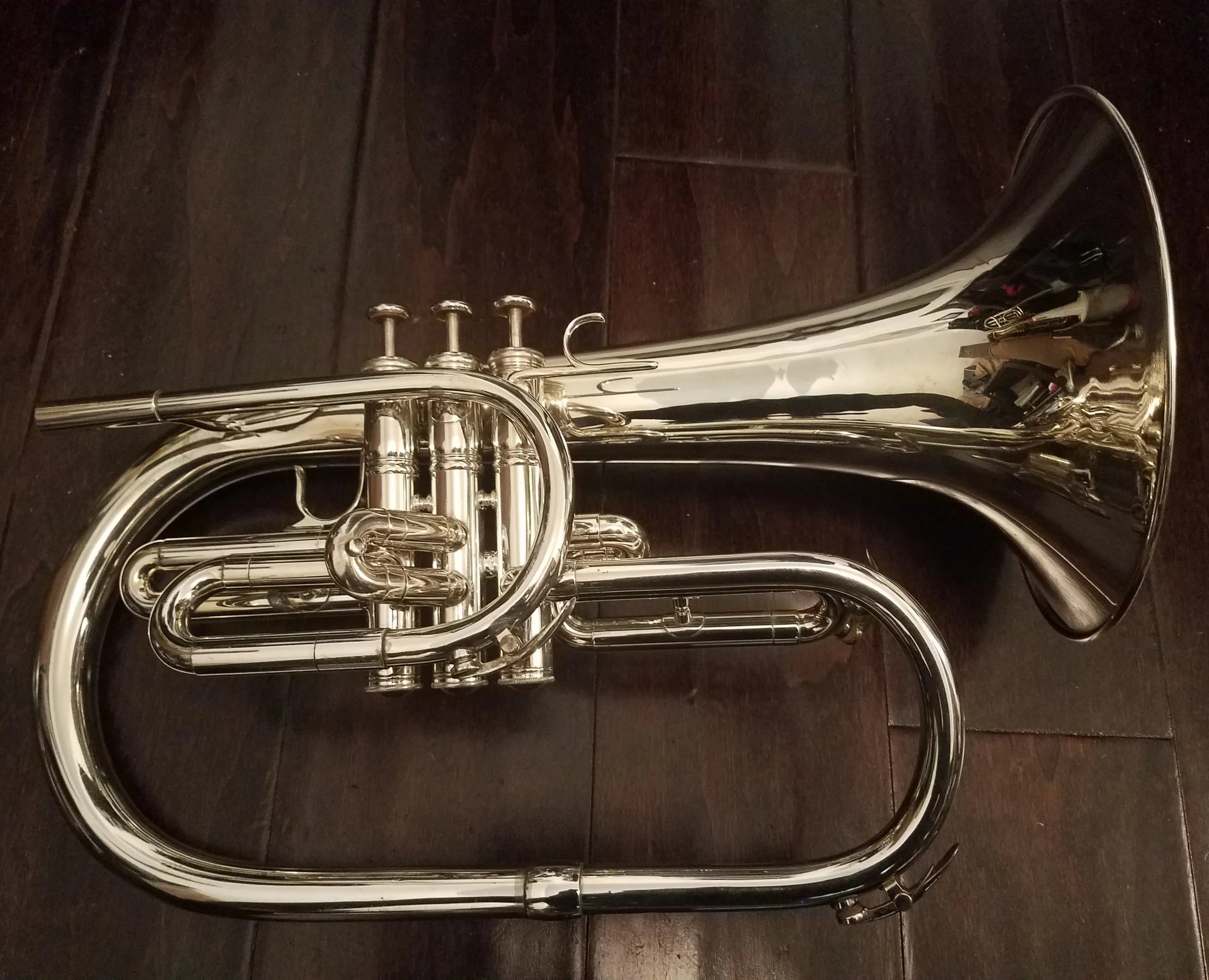 G Bugles — Tiffany Johns